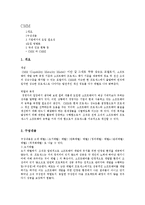 [경영정보] CMM의 모든 것-1