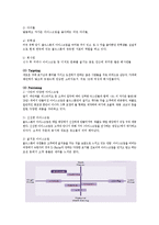 콜드스톤 마케팅전략-13