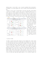 믹시 vs 싸이월드-7
