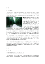 [소비자행동론] 수단-목표 연쇄를 통한 속성-편익-가치간의관계와 촉진전략-3