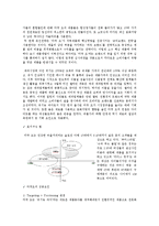 [소비자행동론] 수단-목표 연쇄를 통한 속성-편익-가치간의관계와 촉진전략-11