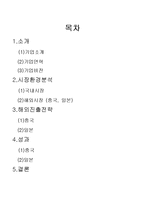 [국제경영] SM엔터테인먼트 해외진출전략-2