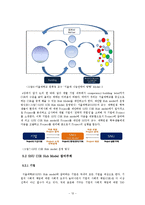[기업 사회적책임] CSR의 실용적 정의와 SNU CSR Hub model 제안-12