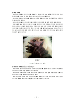 [마케팅] B2C 싸이월드 마케팅-11