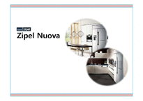 [국제마케팅] Zipel Nuova 미국 시장 진출 기획 -새로운 보조냉장고 시장의 개척-1