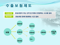 무역기업의 각종위험(사례포함) 과 대비책-6