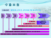 무역기업의 각종위험(사례포함) 과 대비책-10