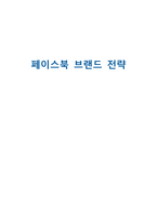 페이스북 브랜드 전략-1