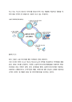 페이스북 브랜드 전략-3