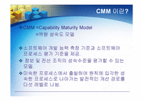 [경영정보] CMM의 모든 것-3