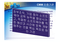 [경영정보] CMM의 모든 것-5
