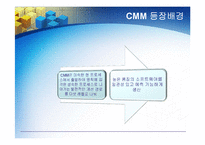 [경영정보] CMM의 모든 것-6