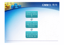 [경영정보] CMM의 모든 것-7