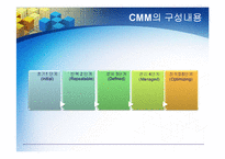 [경영정보] CMM의 모든 것-8