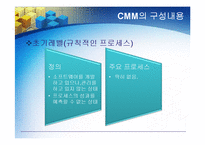[경영정보] CMM의 모든 것-9