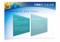 [경영정보] CMM의 모든 것-10