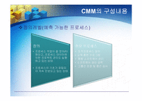 [경영정보] CMM의 모든 것-11