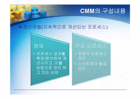 [경영정보] CMM의 모든 것-12