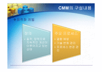 [경영정보] CMM의 모든 것-13