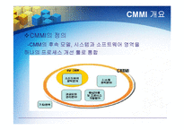 [경영정보] CMM의 모든 것-17
