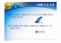 [경영정보] CMM의 모든 것-20