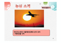 [글로벌마케팅] 농심의 해외진출 전략(인도,멕시코)-8