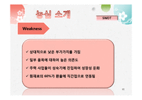 [글로벌마케팅] 농심의 해외진출 전략(인도,멕시코)-11