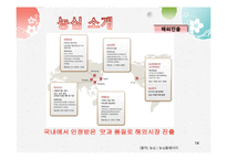 [글로벌마케팅] 농심의 해외진출 전략(인도,멕시코)-14