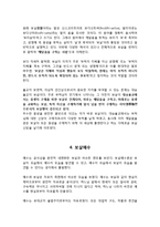 보살예수 레포트-12