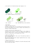 [환경행정론] 호남고속철도 계룡산 노선 갈등 사례 분석-5