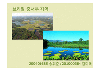 브라질의 지역별 음식-16