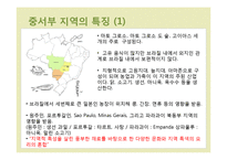 브라질의 지역별 음식-17