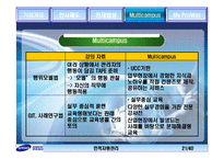 [인적자원관리]삼성 SDS의 인사관리-20
