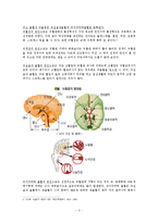 뇌졸중에 대한 사회복지서비스와 치료사례00-3