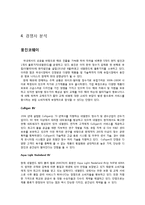 [국제경영] 청호나이스 네덜란드 진출 전략-6