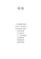 [창업계획서] 토핑을 직접 선택하는 피자집 점포소매업 창업계획서-2