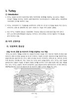 [국제경영] 터키의 유망산업-3