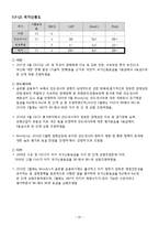 [국제경영] 터키의 유망산업-20