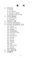 [국제경영] 터키의 유망산업-IT산업중심으로-2