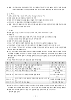 [국제경영] 터키의 유망산업-IT산업중심으로-20