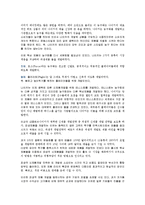 [경영학개론] 나이키 판매촉진전략-11