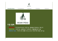 [경영학] 토종 브랜드 빈폴의 마케팅 전략과 발전방안-8
