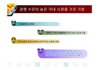 [전략경영론] 3장 기업의 내부적 능력 평가 문제풀이-17