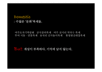 [광고 캠페인 전략] 아시아문화도시 광주 기획서-8
