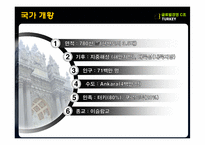 [국제경영] 터키의 유망산업-IT산업중심으로-5