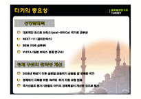 [국제경영] 터키의 유망산업-IT산업중심으로-8