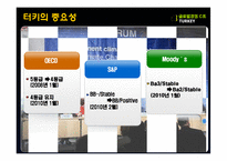 [국제경영] 터키의 유망산업-IT산업중심으로-9