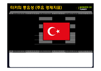 [국제경영] 터키의 유망산업-IT산업중심으로-10