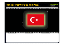 [국제경영] 터키의 유망산업-IT산업중심으로-11