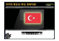 [국제경영] 터키의 유망산업-IT산업중심으로-12